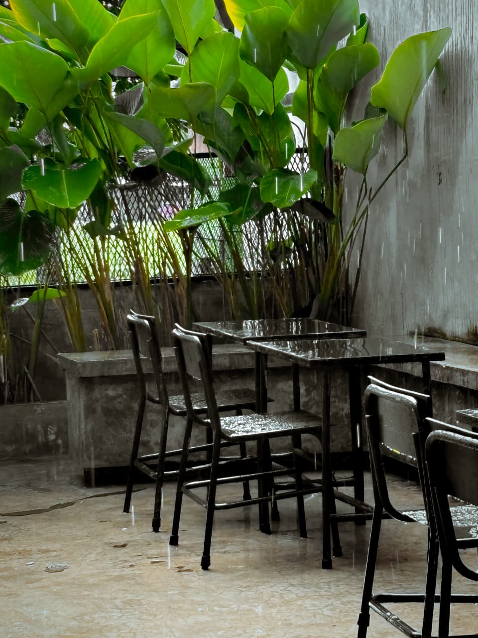 Suasana Asa Coffee